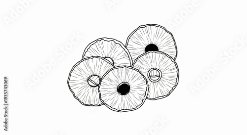 A collection of six sliced pineapples, hand-drawn in black and white ink