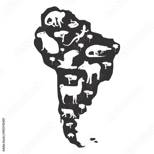 South america map silhouette