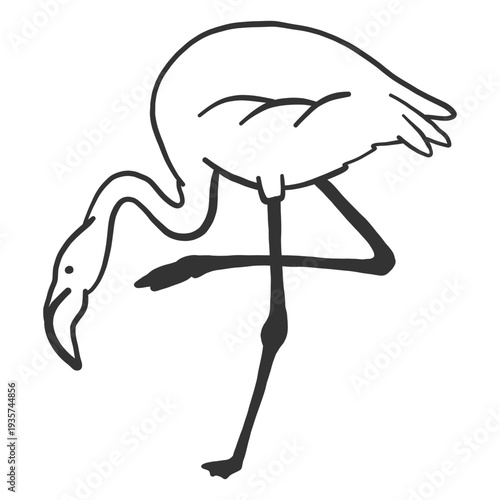 Flamingo beak leg neck doodle bird