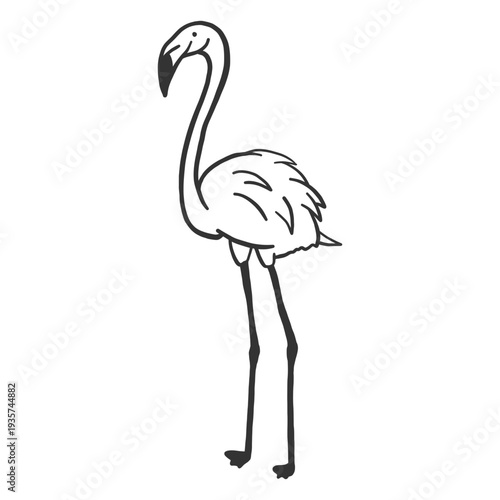 Flamingo neck leg beak doodle bird