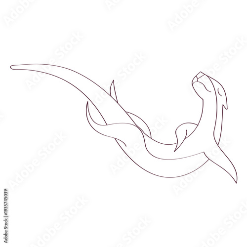 Otter muzzle tail leg line animal