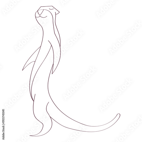 Otter muzzle leg tail line animal