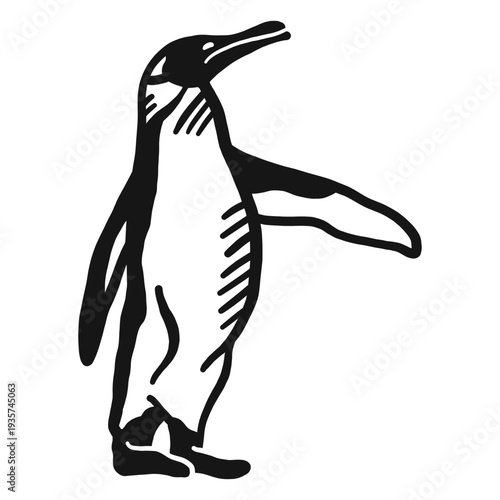 Penguin wing beak leg doodle bird