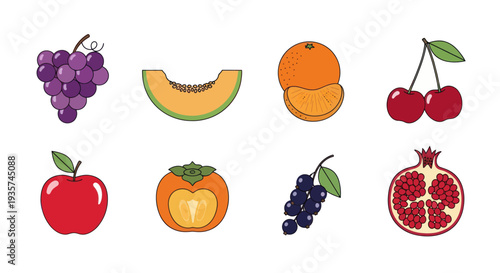 Colorful fruit assortment illustration