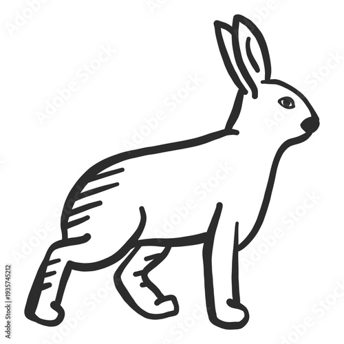 Rabbit bunny ear muzzle doodle hare