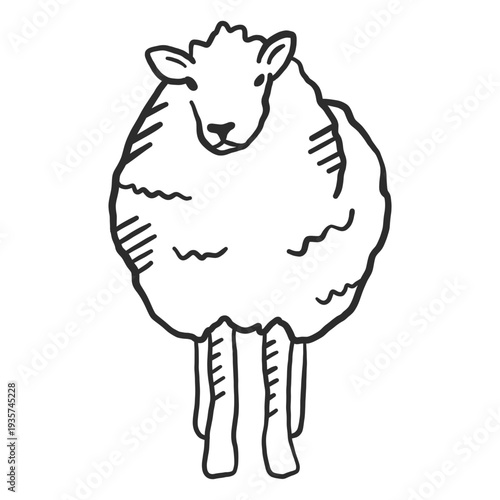 Sheep lamb ear hoof wool doodle animal