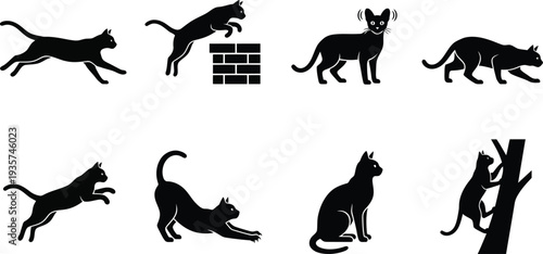 Stylized vector illustrations of various cat poses and actions in a minimalist design