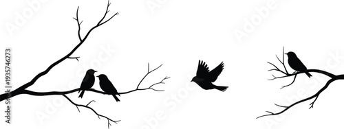 Black silhouette of birds perched on tree branches with one bird in flight, nature illustration symbolizing connection and solitude