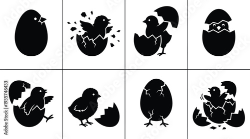 Set of eight black silhouettes depicting the stages of a chick hatching from an egg