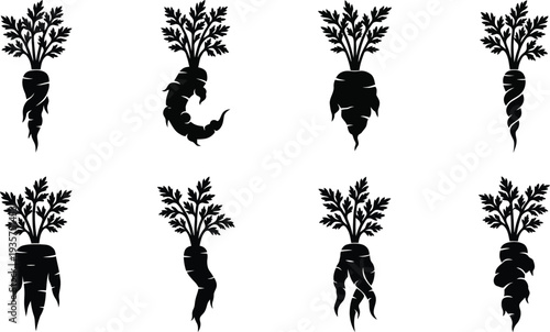 Set of eight stylized black carrot illustrations with unique shapes and foliage details