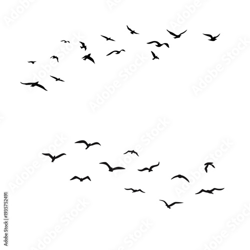 Wild bird flock silhouettes flying in natural motion. Ideal for sky scenes, wildlife illustrations and decorative vector artwork.