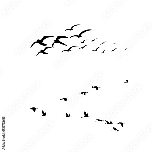Flying birds in migration formation silhouettes. Ideal for wildlife scenes, sky illustrations and nature themed design projects.