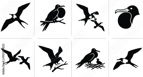 Collection of Black Silhouette Illustrations of Various Birds in Flight and Perched
