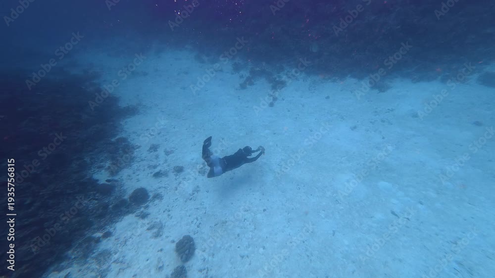 custom made wallpaper toronto digitalMan freediving and exploring a vast coral reef garden underwater