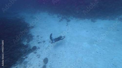 Wallpaper Mural Man freediving and exploring a vast coral reef garden underwater Torontodigital.ca