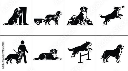 Vector illustrations of various dog activities including training, playing, and companionship
