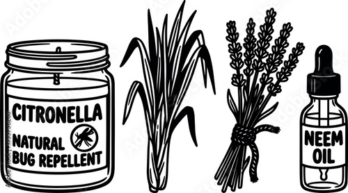 Line art close up citronella candle lemongrass bundle lavender sprigs and neem oil dropper glass jar tied botanical black white