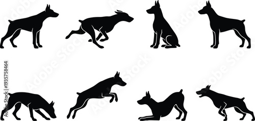 Vector illustration of various dog poses showcasing playful and attentive stances