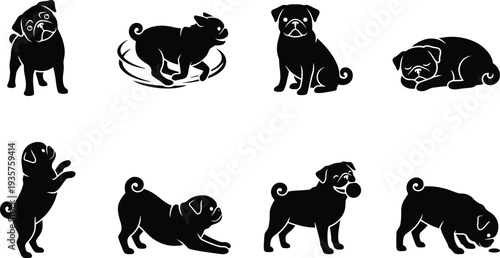Playful pug dog illustrations showcasing various poses and activities in a minimalist vector style
