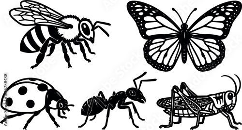 Tattoo flash detailed black line art insects set bee butterfly ladybug ant grasshopper scientific pose isolated vector icons naturalistic details
