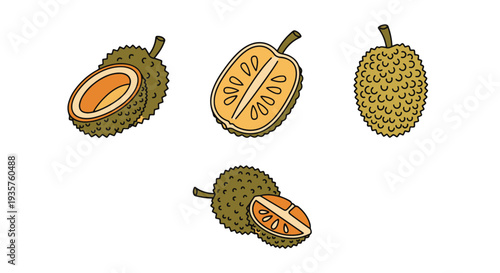 Jackfruit Line art vector set soft tone color