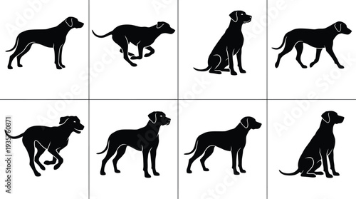 Vector illustrations of different dog poses showcasing playful and attentive stances