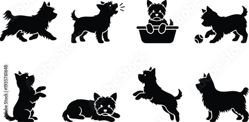 Silhouette vector illustrations of playful Yorkshire Terriers in various poses and activities