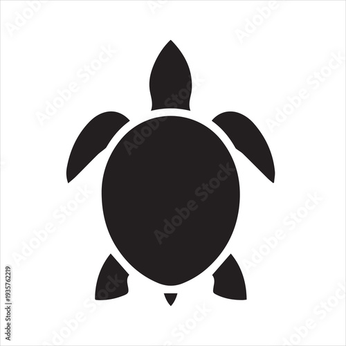 vector illustration of a turtle