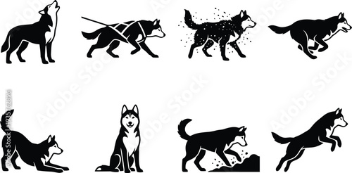 Vector illustrations of various husky dog poses showcasing movement and expression in a cohesive style