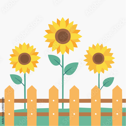 Beautiful sunflowers blooming behind a charming wooden fence in a garden setting