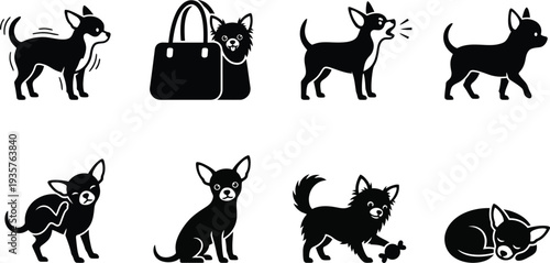 Vector illustrations of playful Chihuahua dogs in various poses and styles