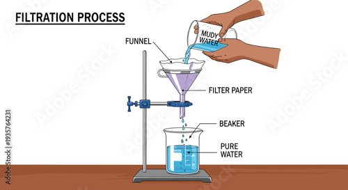 Laboratory water filtration process diagram showing muddy water being poured through funnel filter paper into a beaker illustration