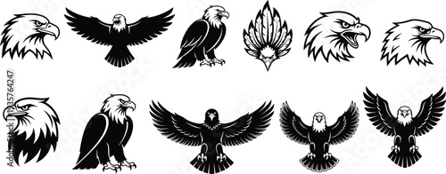Eagle logo collection, bald eagle head icons, flying eagle silhouettes, heraldic raptor emblems, aggressive bird mascot symbols, black vector illustration set