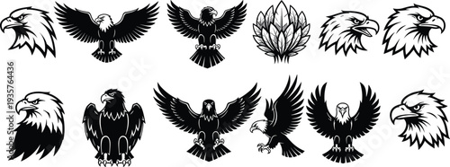 Eagle logo set, bald eagle head, flying eagle silhouettes, vintage heraldic bird emblems, wildlife predator icons, black vector illustration collection design bundle