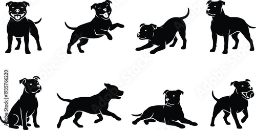 Set of playful black silhouette illustrations of Staffordshire Bull Terriers in various poses