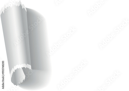 Ripped paper roll. Rough edge realistic texture