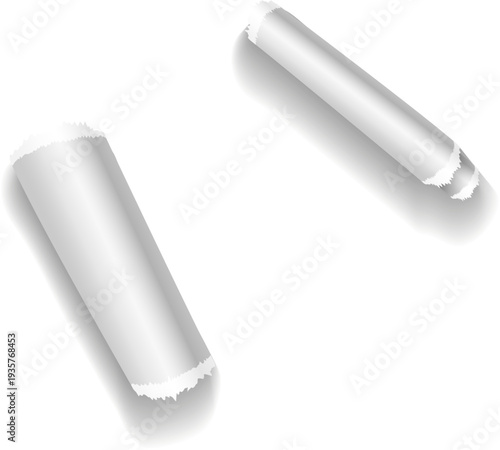 Ripped edge paper strip. Realistic white scrap