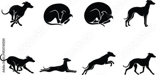 Stylized black silhouette illustrations of greyhounds in various poses and actions