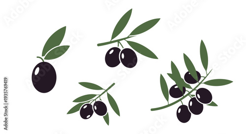 Olive Line art vector set clean vibrant tone illustration