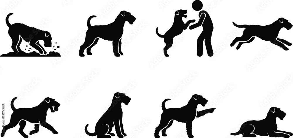 Fototapeta premium Vector illustration of playful dog silhouettes interacting with a person in various poses