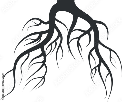 Underground roots. Forest plant part black shape