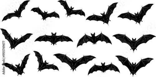 Flying bat silhouettes collection with different wing positions, spooky Halloween bats set, gothic horror nocturnal animals isolated flat vector illustration