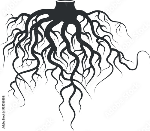 Underground botany element. Tree roots black icon