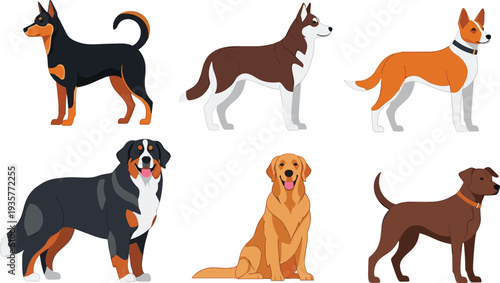 Different dog breeds collection domestic pet animals standing and sitting cute canine set flat vector illustration