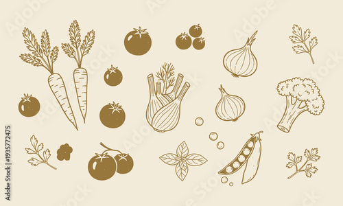 Vegetable doodle set hand drawn vector illustration. Simple hand drawn sketch food illustrations with fresh seasonal organic ingredients for menu, packaging and healthy food