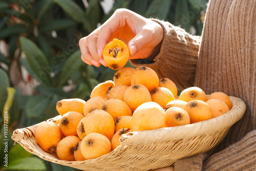 Bild auf Leinwand Fresh Loquat Star Fruit from Yunnan Province Mountains in Wicker Basket
