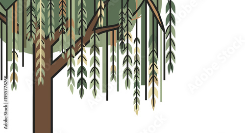 Willow Tree Branches.