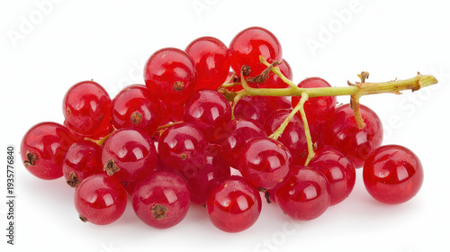 Fresh red currant cluster, vibrant and juicy, perfect for culinary use or decoration