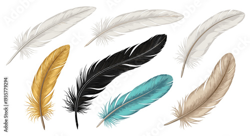 Decorative Bird Feather Collection with Colorful Natural Plumage Elements for Boho Design, Wildlife Illustration and Nature Inspired Vector Set