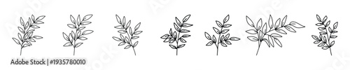 Set of botanical line art illustrations of plant sprigs and leaves